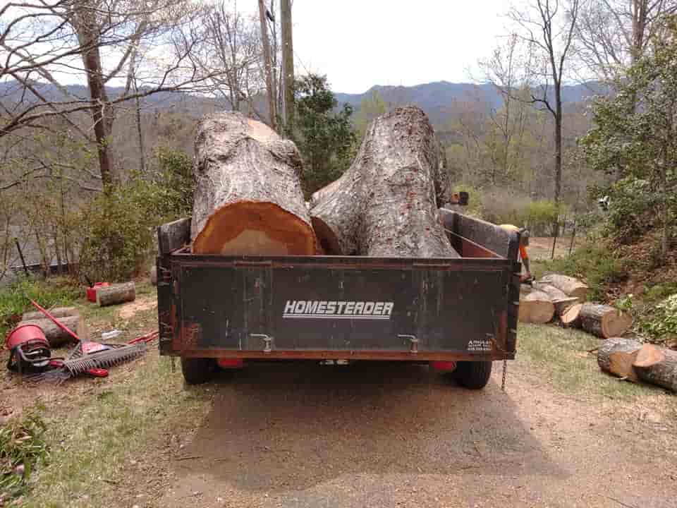 Tree Trimming & Removal